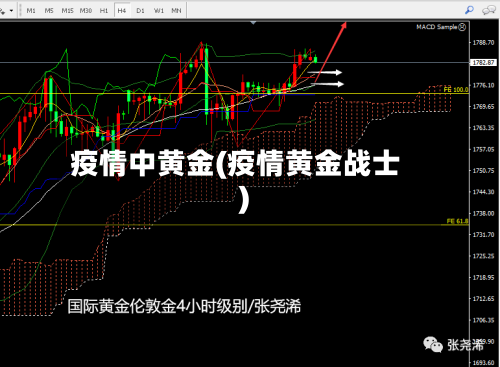 疫情中黄金(疫情黄金战士)-第3张图片