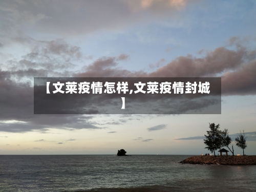 【文莱疫情怎样,文莱疫情封城】