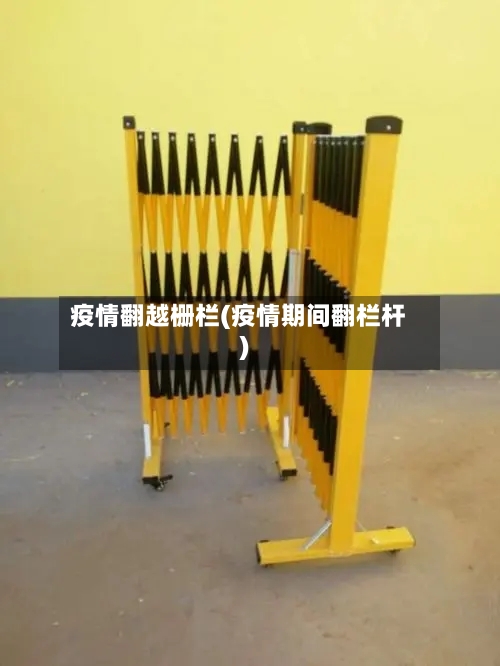 疫情翻越栅栏(疫情期间翻栏杆)-第2张图片