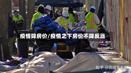 疫情降房价/疫情之下房价不降反涨-第2张图片