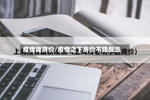 疫情降房价/疫情之下房价不降反涨