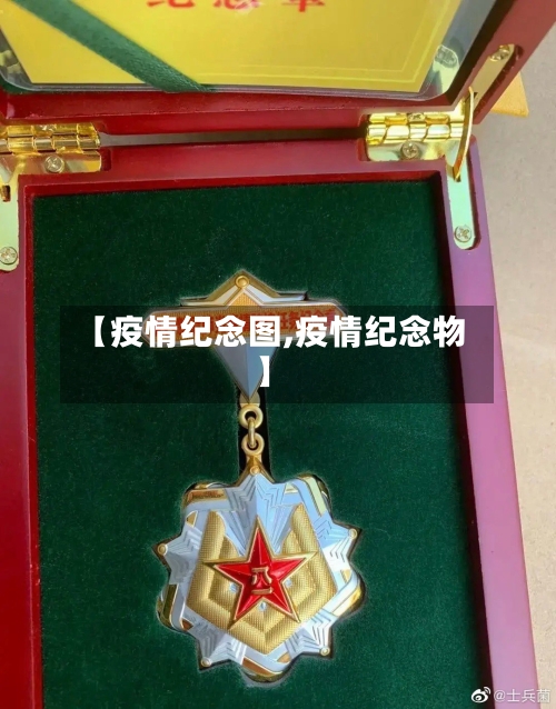 【疫情纪念图,疫情纪念物】-第2张图片