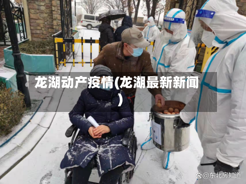 龙湖动产疫情(龙湖最新新闻)-第3张图片