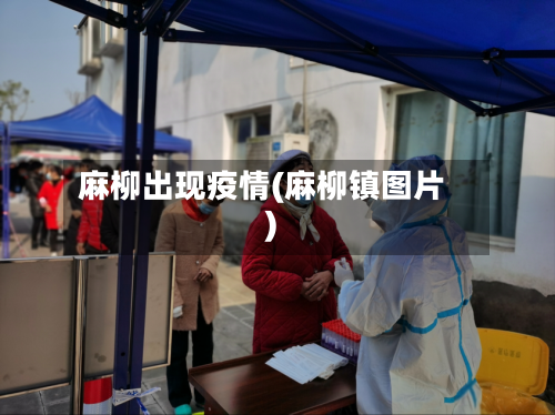 麻柳出现疫情(麻柳镇图片)