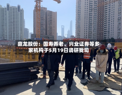 鼎龙股份：国寿养老、兴业证券等多家机构于5月19日调研我司-第2张图片