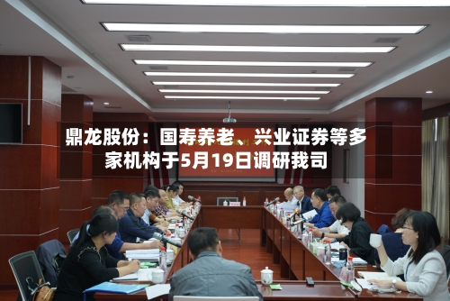 鼎龙股份：国寿养老、兴业证券等多家机构于5月19日调研我司