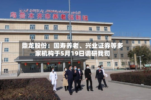 鼎龙股份：国寿养老、兴业证券等多家机构于5月19日调研我司-第3张图片