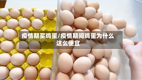 疫情期买鸡蛋/疫情期间鸡蛋为什么这么便宜-第2张图片