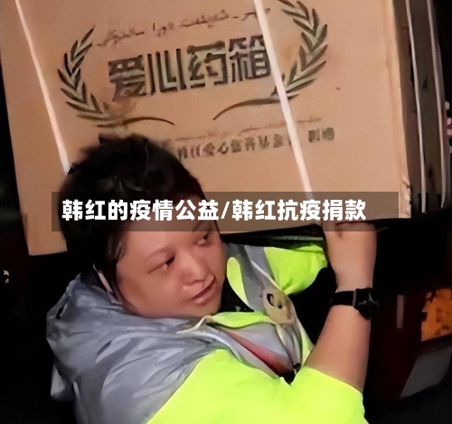 韩红的疫情公益/韩红抗疫捐款-第2张图片