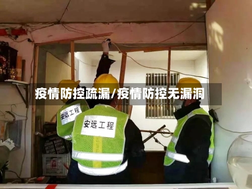 疫情防控疏漏/疫情防控无漏洞-第2张图片