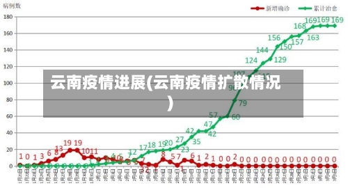 云南疫情进展(云南疫情扩散情况)-第2张图片
