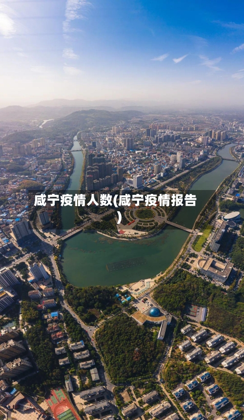 咸宁疫情人数(咸宁疫情报告)