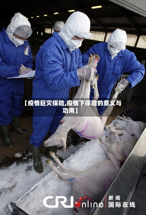 【疫情巨灾保险,疫情下保险的意义与功用】-第2张图片