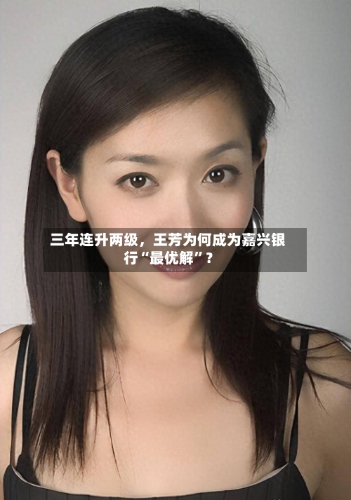 三年连升两级，王芳为何成为嘉兴银行“最优解”？-第2张图片