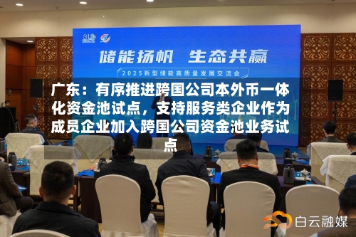 广东：有序推进跨国公司本外币一体化资金池试点，支持服务类企业作为成员企业加入跨国公司资金池业务试点