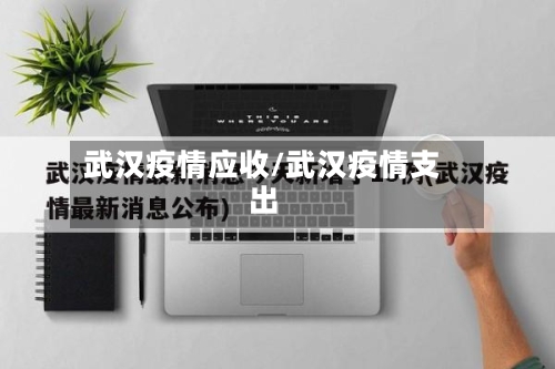 武汉疫情应收/武汉疫情支出-第2张图片