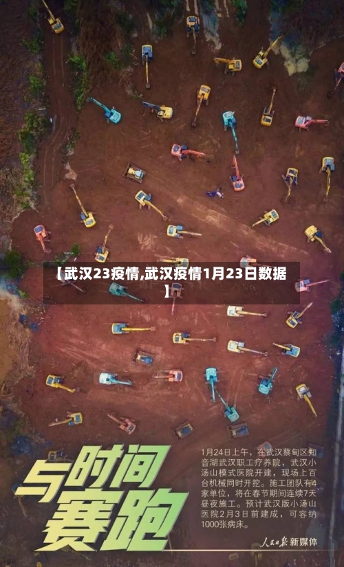 【武汉23疫情,武汉疫情1月23日数据】-第3张图片