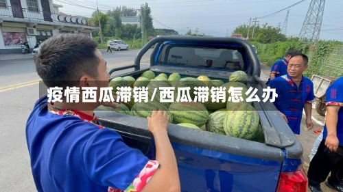 疫情西瓜滞销/西瓜滞销怎么办