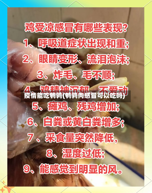 疫情能吃鹌鹑(鹌鹑肉感冒可以吃吗)