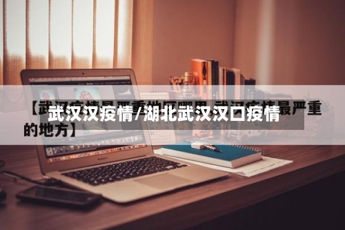 武汉汉疫情/湖北武汉汉口疫情-第3张图片