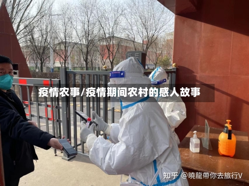 疫情农事/疫情期间农村的感人故事