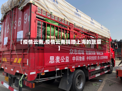 【疫情云南,疫情云南捐赠上海的蔬菜】-第3张图片