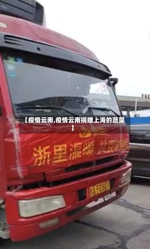 【疫情云南,疫情云南捐赠上海的蔬菜】