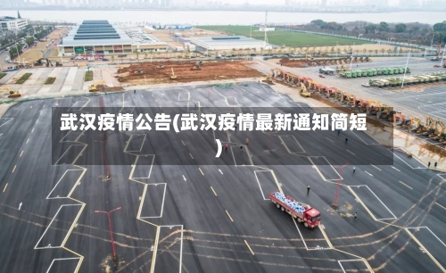 武汉疫情公告(武汉疫情最新通知简短)-第2张图片