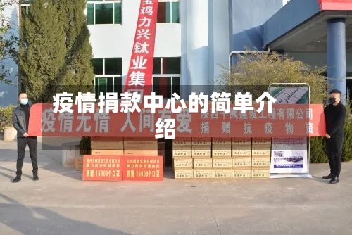 疫情捐款中心的简单介绍
