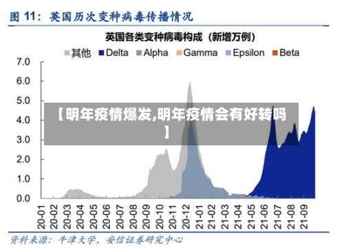 【明年疫情爆发,明年疫情会有好转吗】