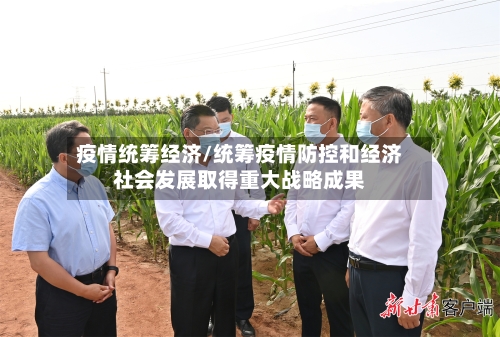 疫情统筹经济/统筹疫情防控和经济社会发展取得重大战略成果