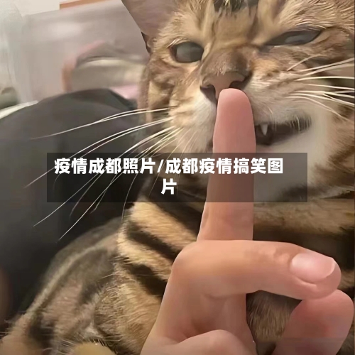 疫情成都照片/成都疫情搞笑图片