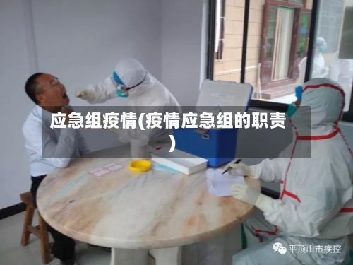 应急组疫情(疫情应急组的职责)-第2张图片