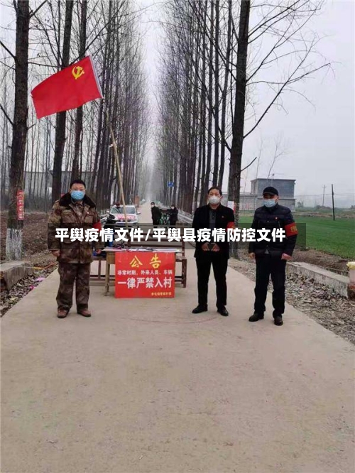 平舆疫情文件/平舆县疫情防控文件