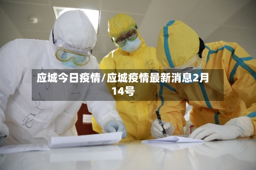应城今日疫情/应城疫情最新消息2月14号