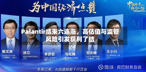 Palantir结束六连涨，高估值与监管风险引发获利了结-第2张图片