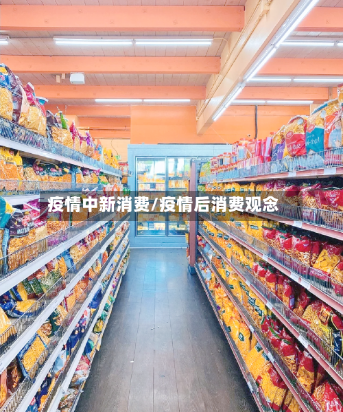 疫情中新消费/疫情后消费观念-第3张图片