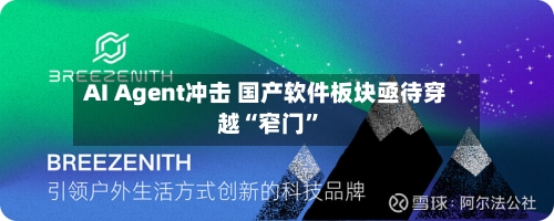 AI Agent冲击 国产软件板块亟待穿越“窄门”-第3张图片