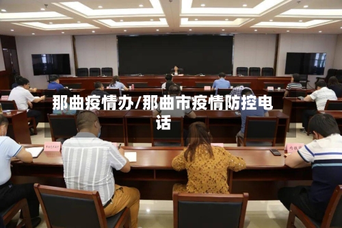 那曲疫情办/那曲市疫情防控电话-第3张图片