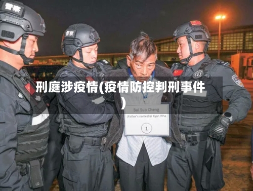 刑庭涉疫情(疫情防控判刑事件)